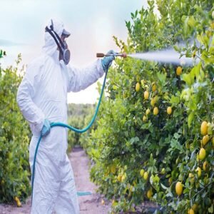Fungicide - 500 ml