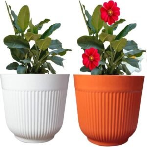 Indoor Shine Pots 12 Inches