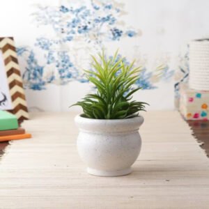 Indoor Shine Pots 4 Inches