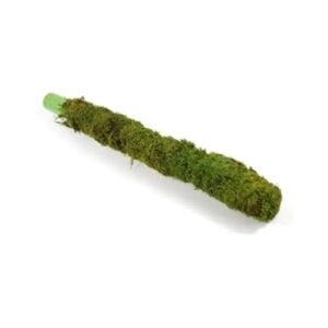 Moss stick 2 Feet