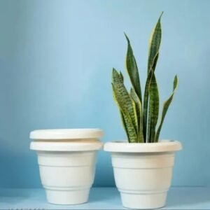 Plastic Pot 10 inches