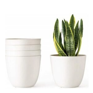 Plastic Pot 6  inches