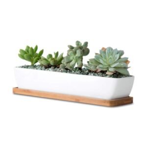 Rectangle Pots 1 Feets