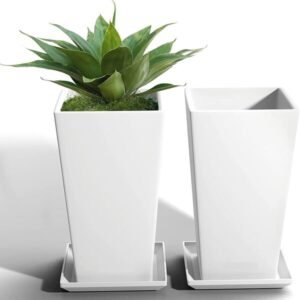 Rectangle Pots 2 Feets