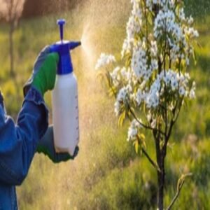 Weedicide -  500 ml
