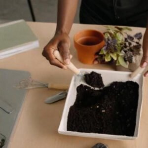 Organic Mix - 1 Kg