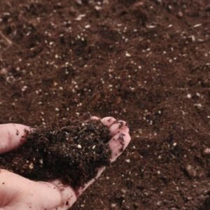 Mixed Soil Bag - 25 Kg