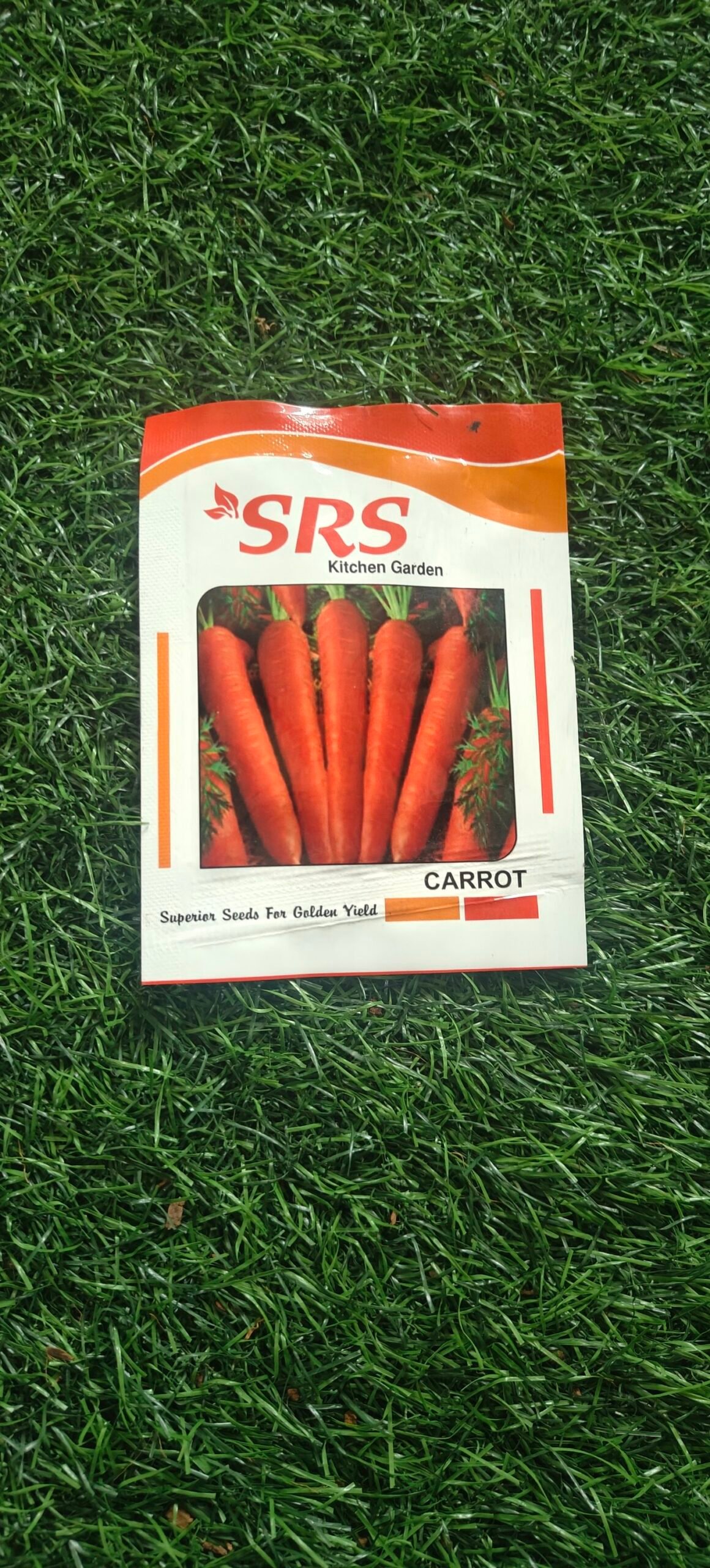 carrot seed