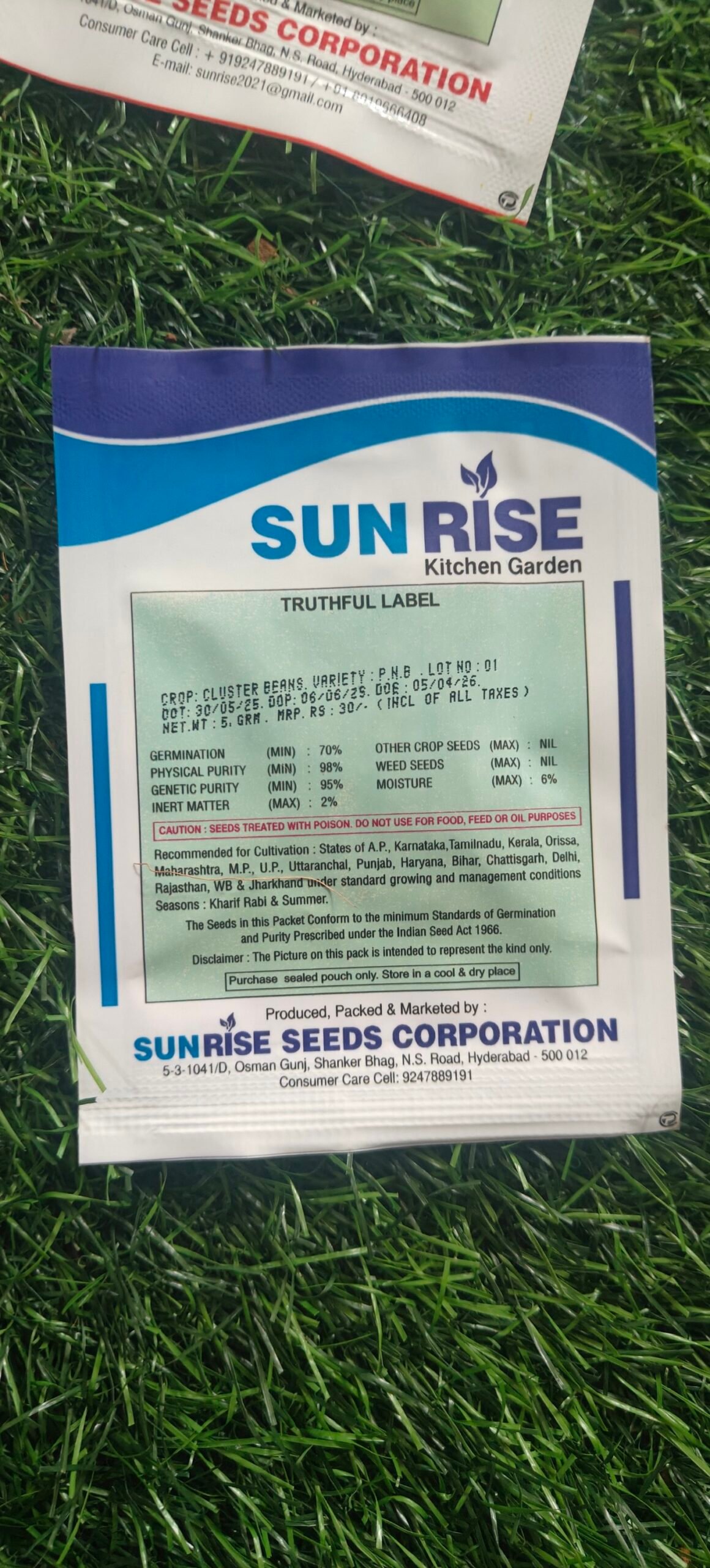 cluster bean seed - Image 2