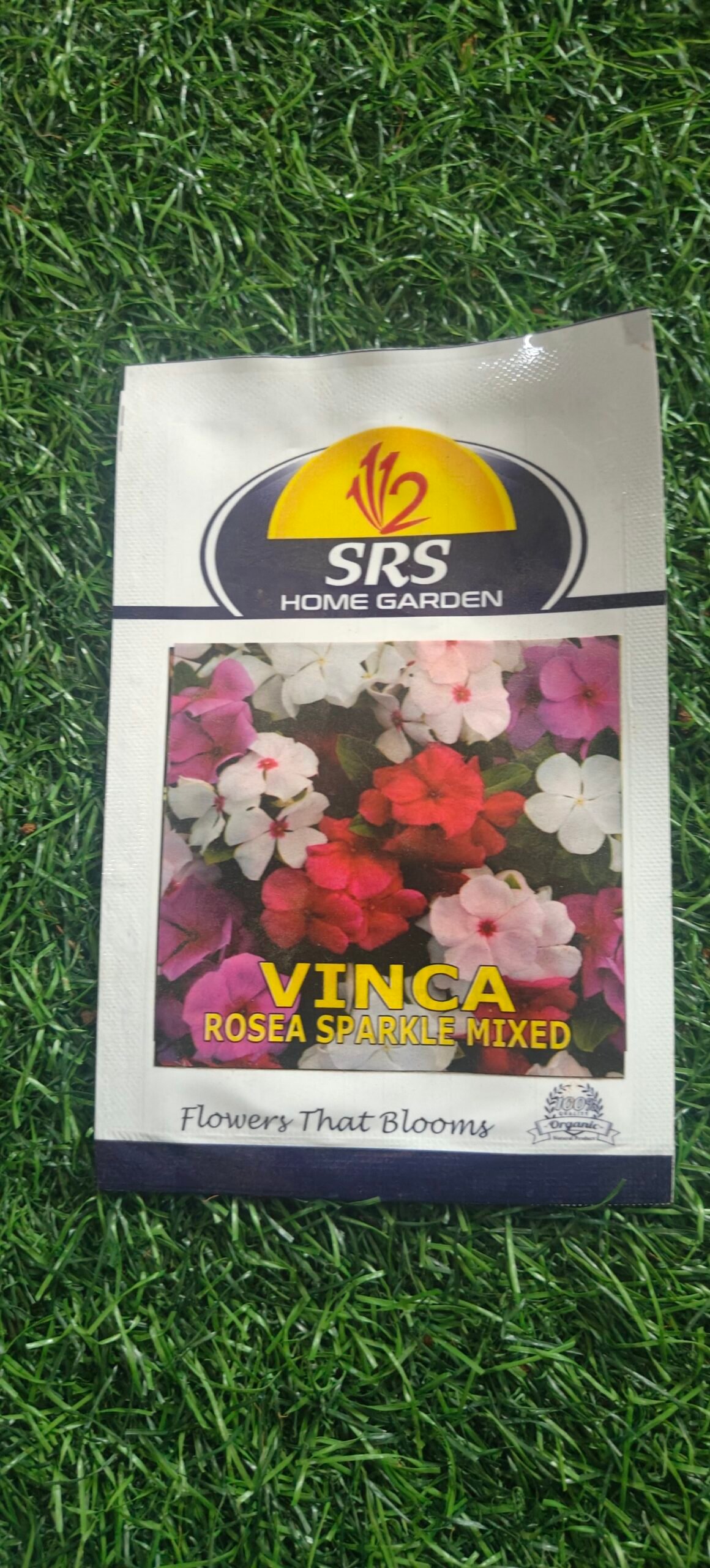 vinca seeds / periwinkle/ Nithya kalyani