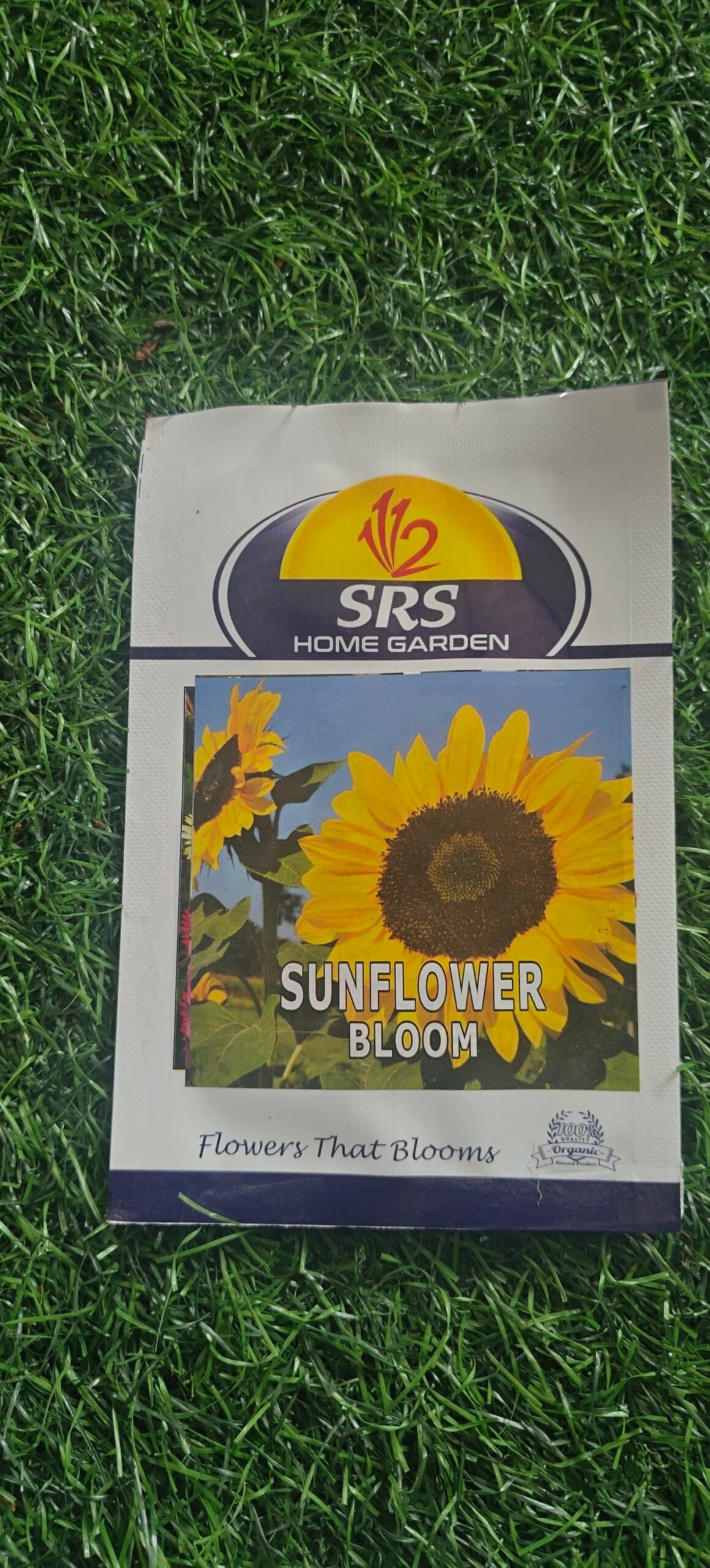 sunflower  seeds