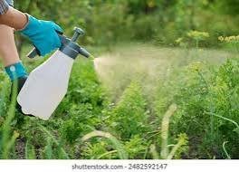 fungicide spray /specially  for disease of plants