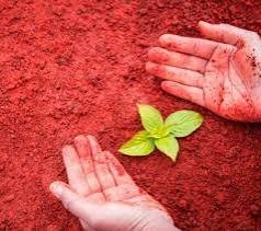 Red sand /pure red soil
