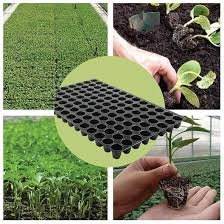 protray / seedling tray