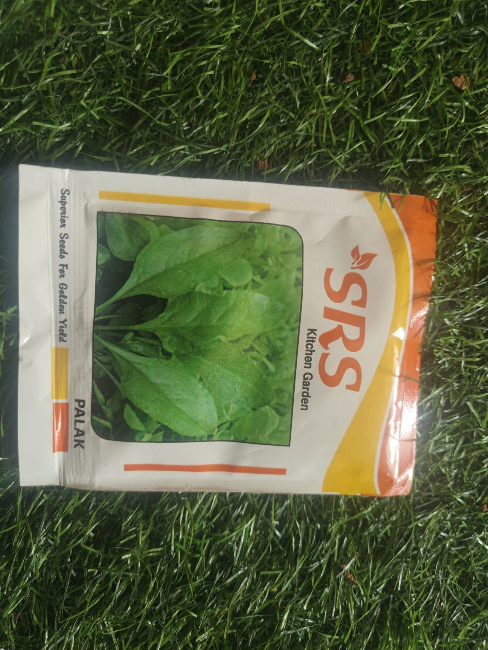 palak/palakeerai - Image 5