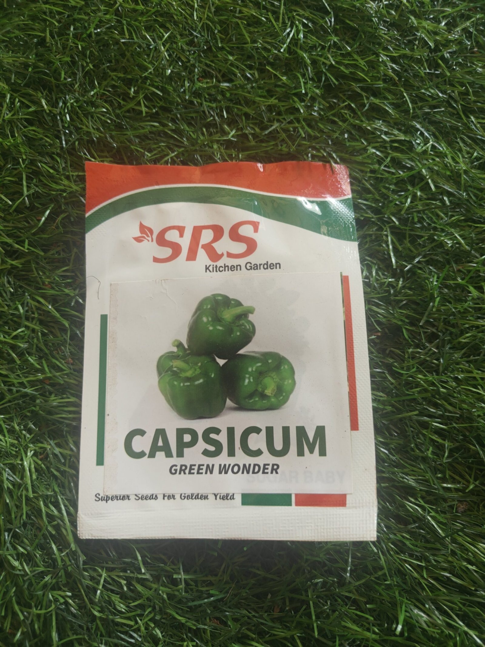 capsicum/ kudaimilagai/chilli