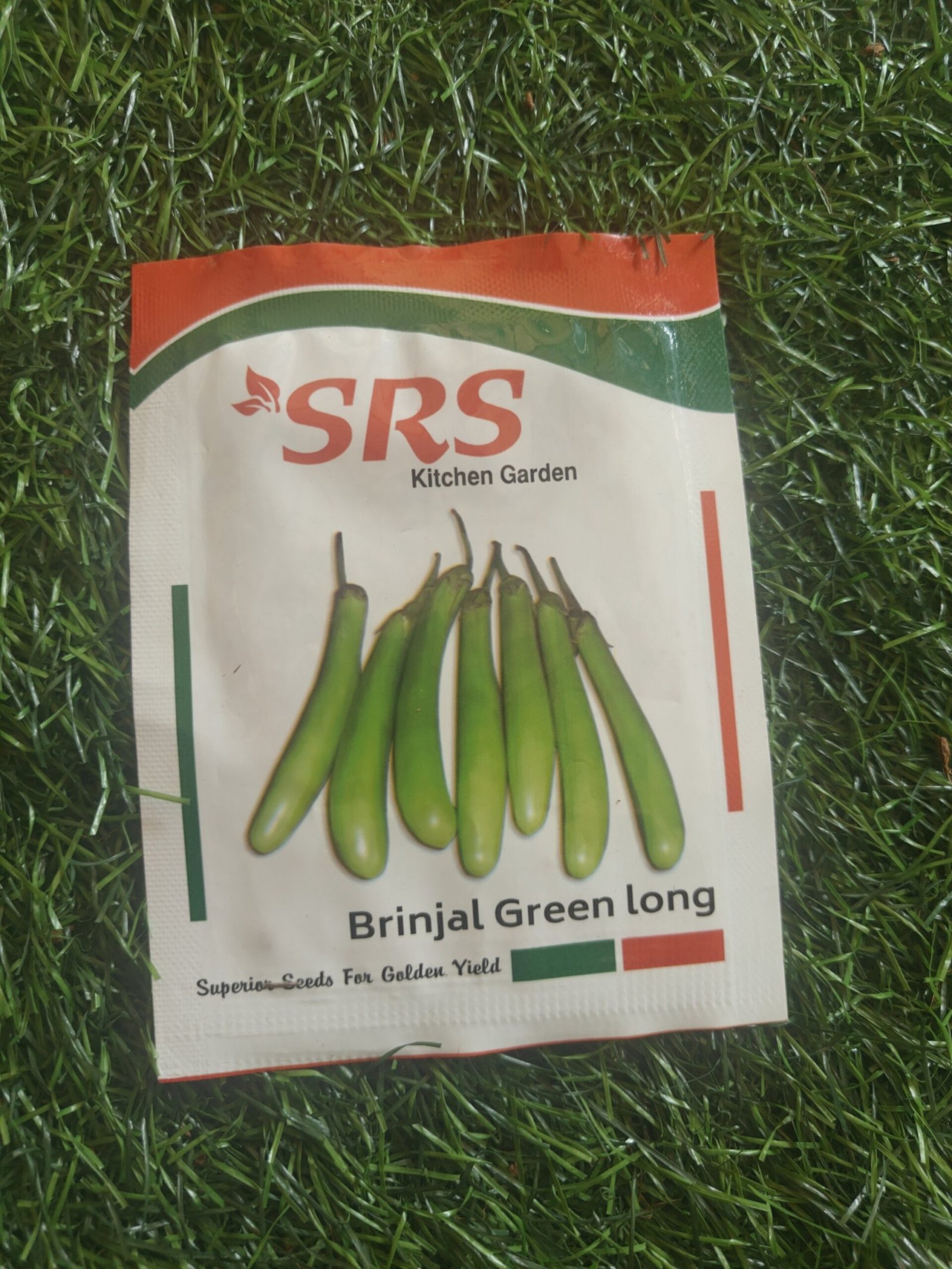 brinjal green long / pachai neeta kathirikai