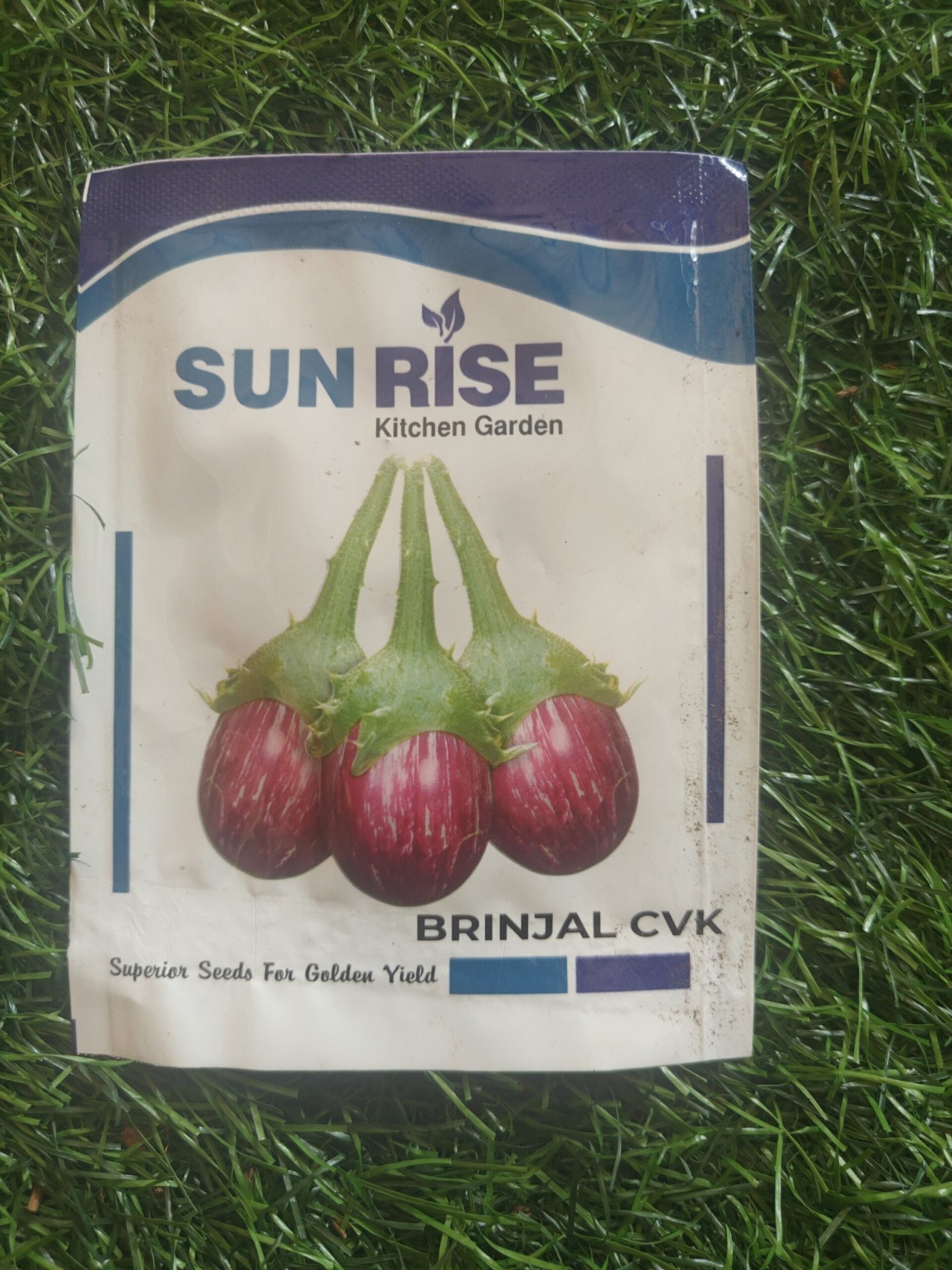 brinjal spikey / mullu kathirikai