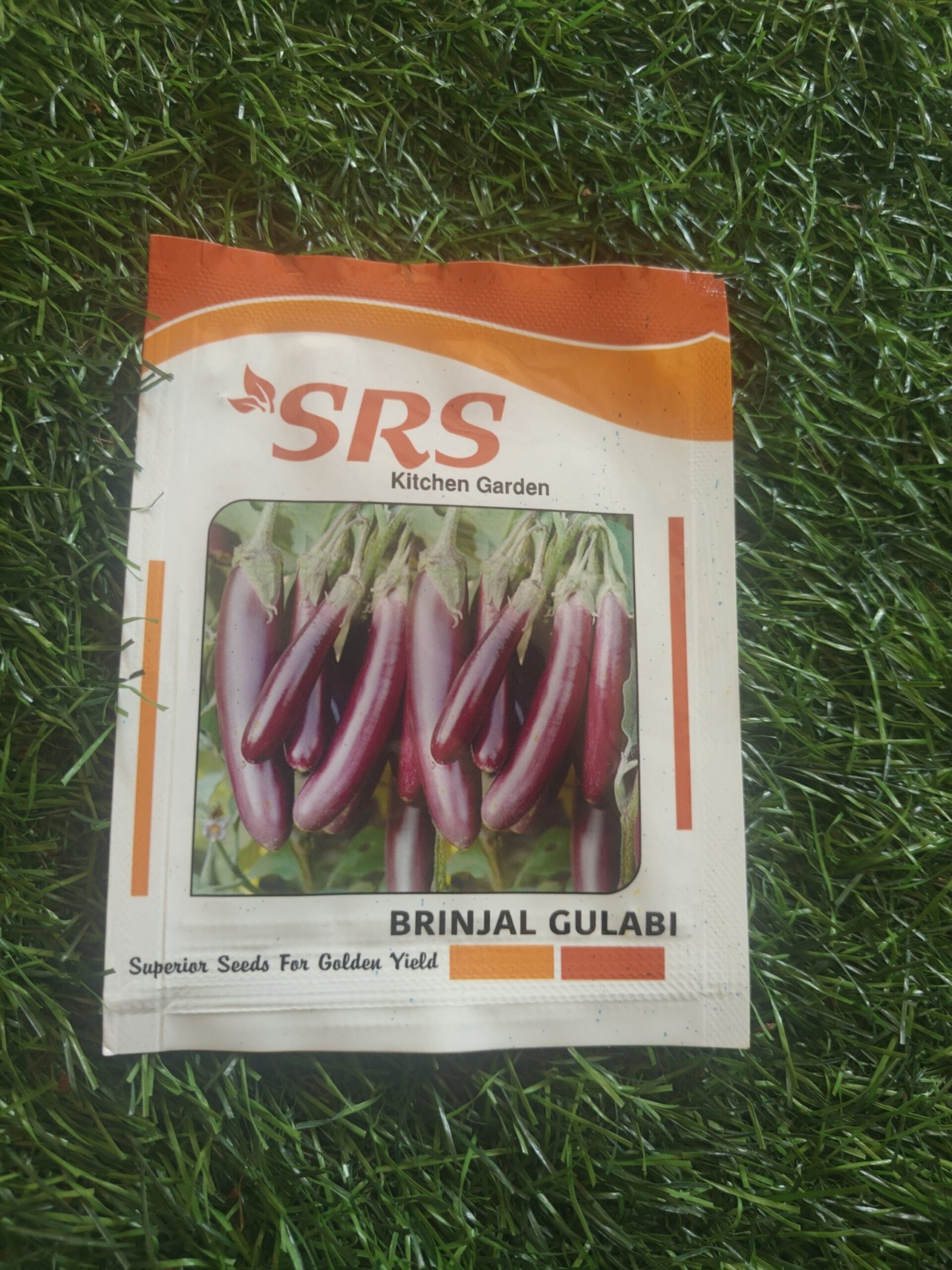 brinjal purple long / brinjal gulabi / kathirikai