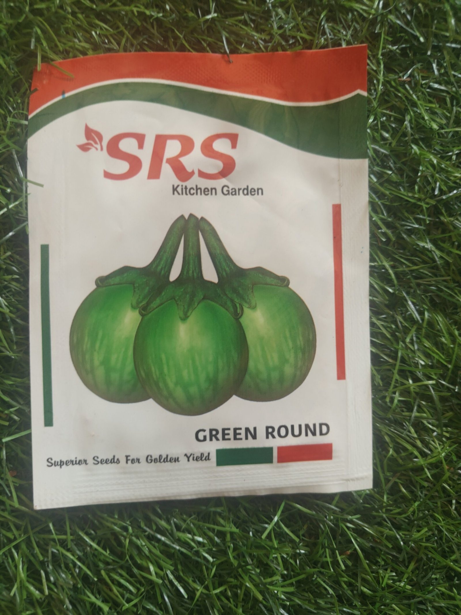 brinjal green round / pachai kathirikai