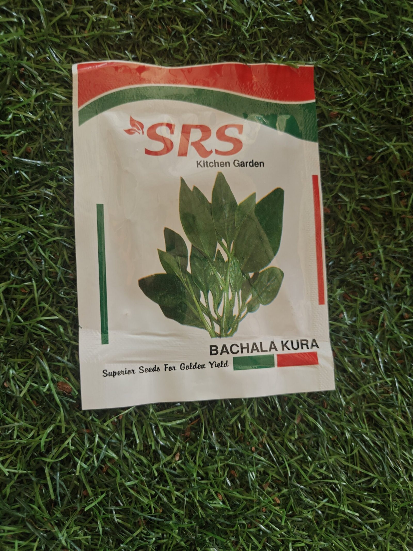 bachal kura / pasilai keerai