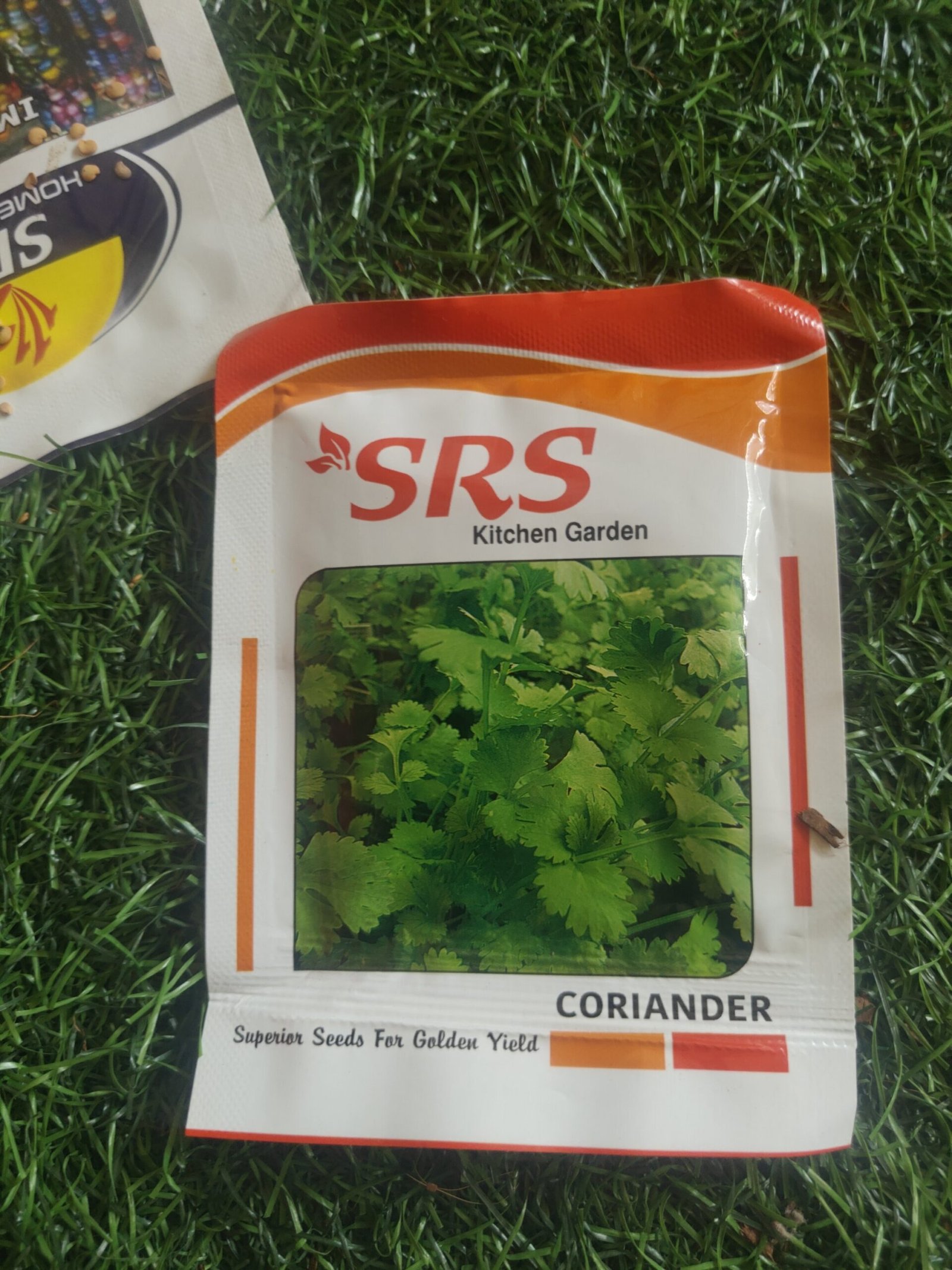 coriander/ kothamalli