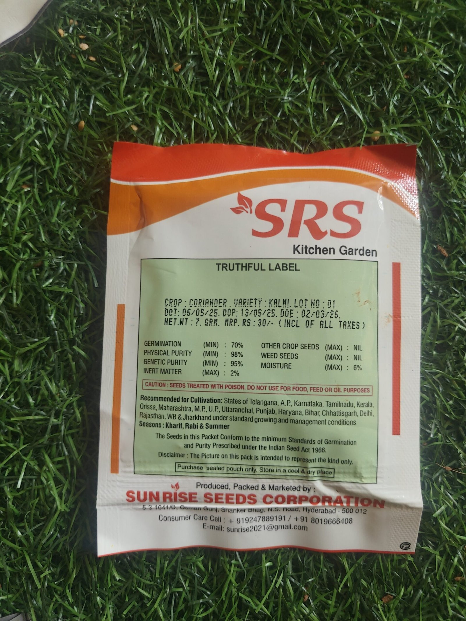 coriander/ kothamalli - Image 2