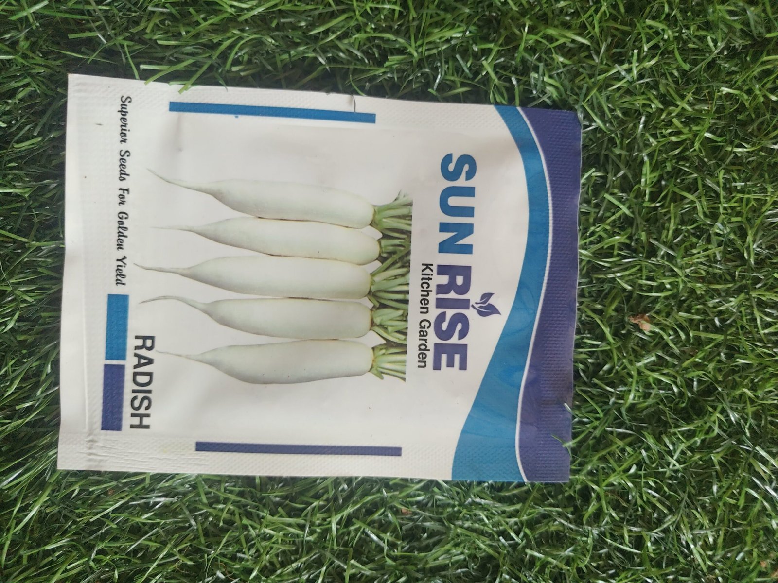 radish/ mullangi - Image 3